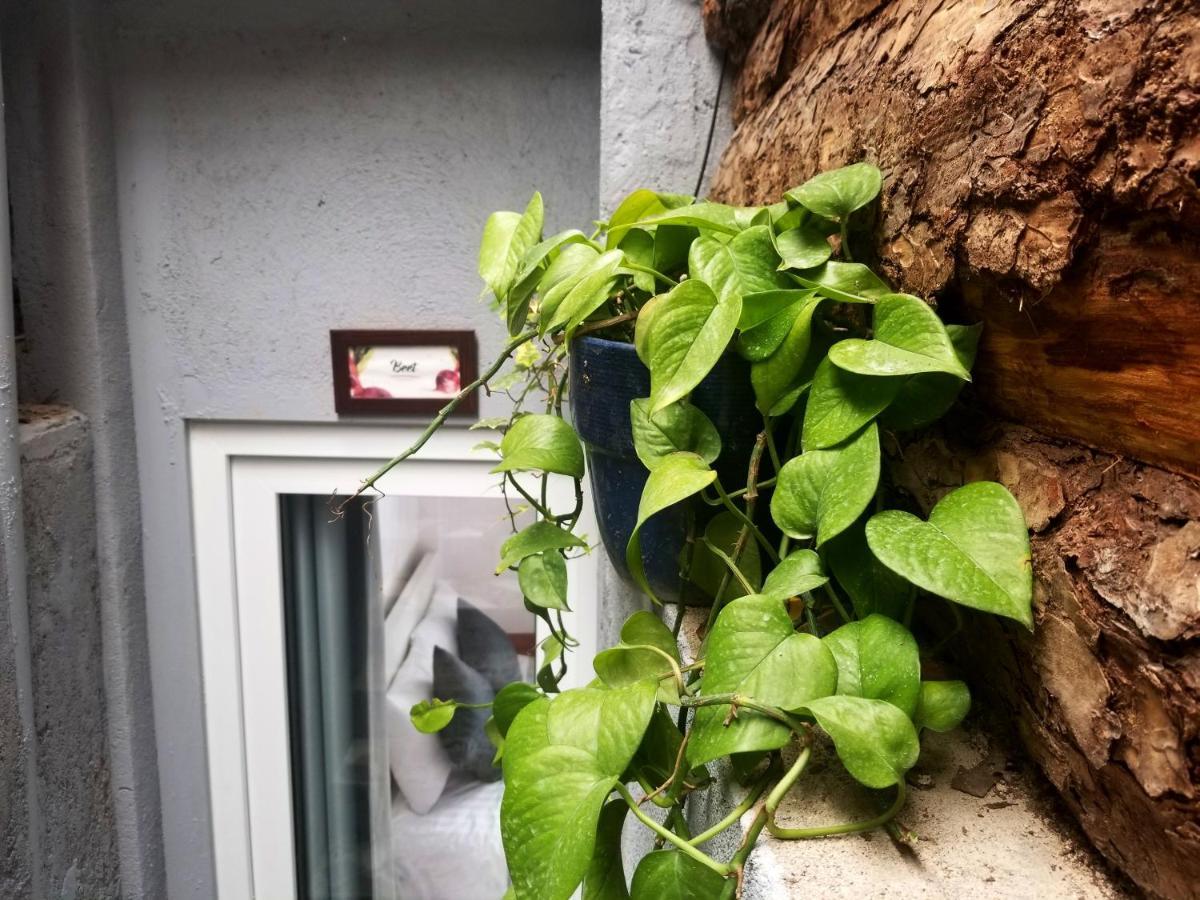 Ribe'S House Apartment Đà Lạt Ngoại thất bức ảnh