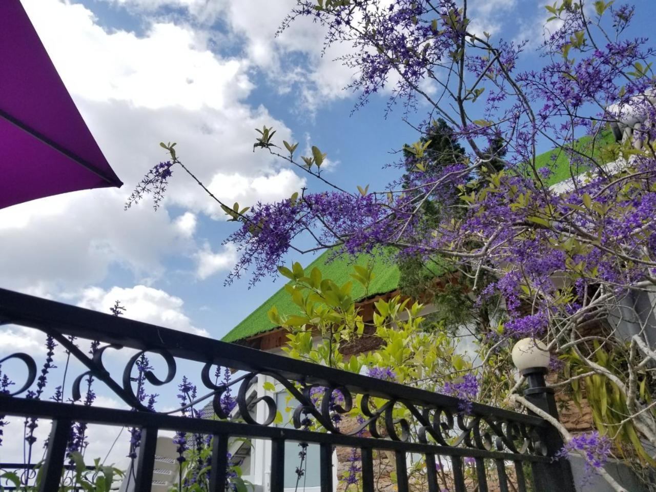 Ribe'S House Apartment Đà Lạt Ngoại thất bức ảnh