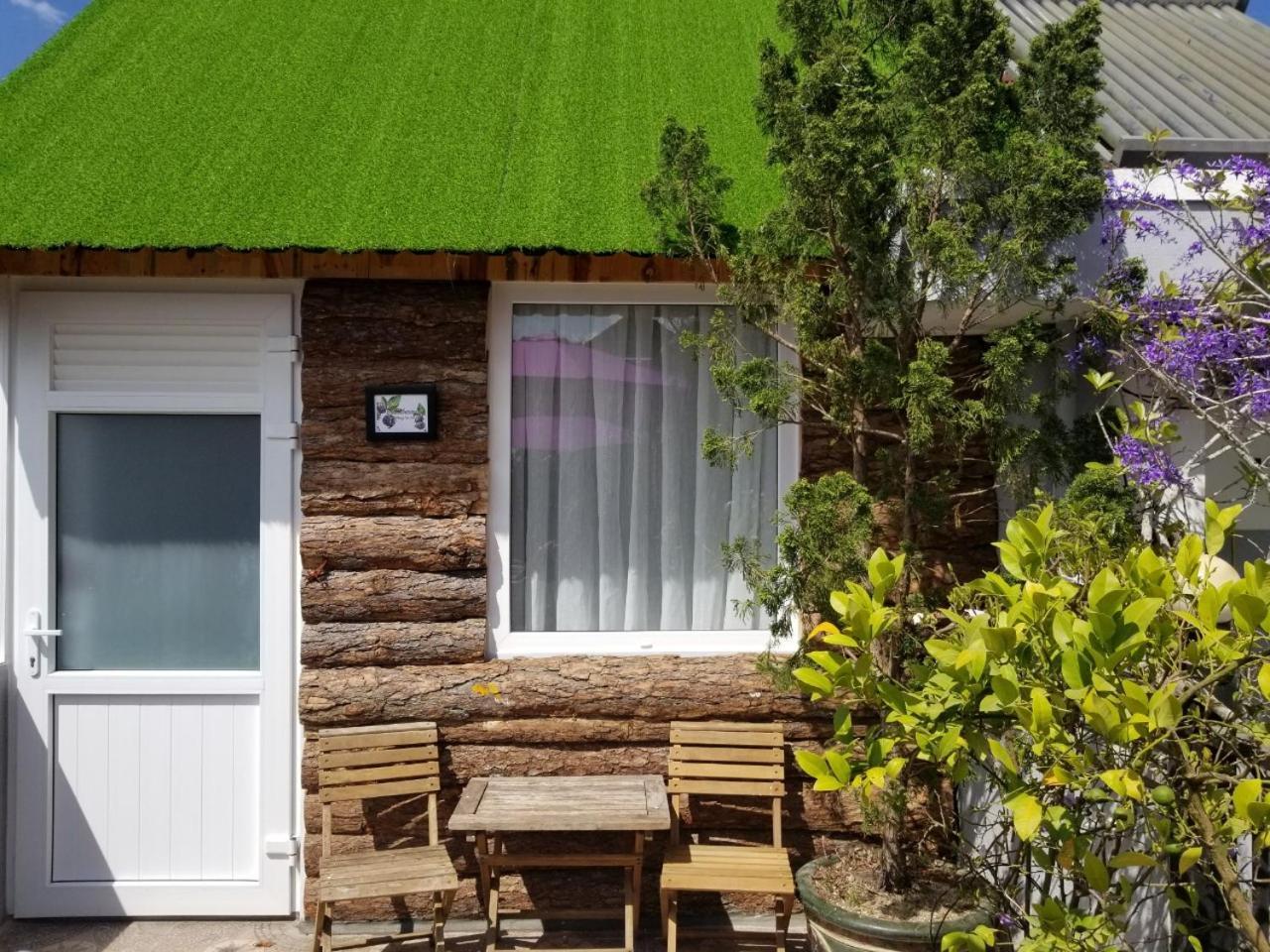 Ribe'S House Apartment Đà Lạt Ngoại thất bức ảnh
