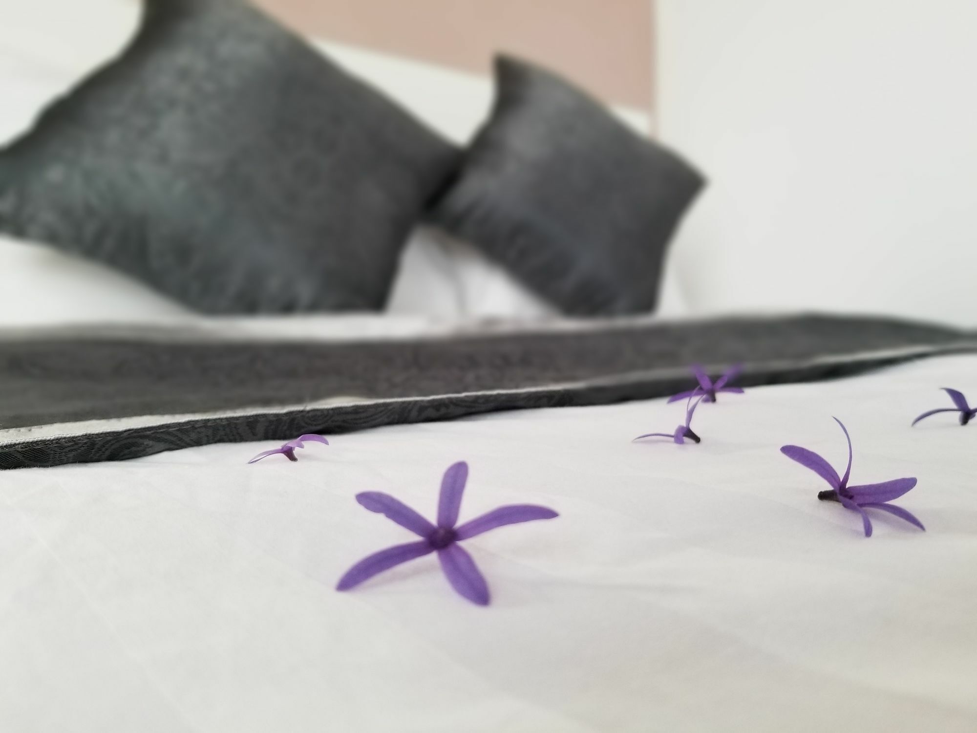 Ribe'S House Apartment Đà Lạt Ngoại thất bức ảnh