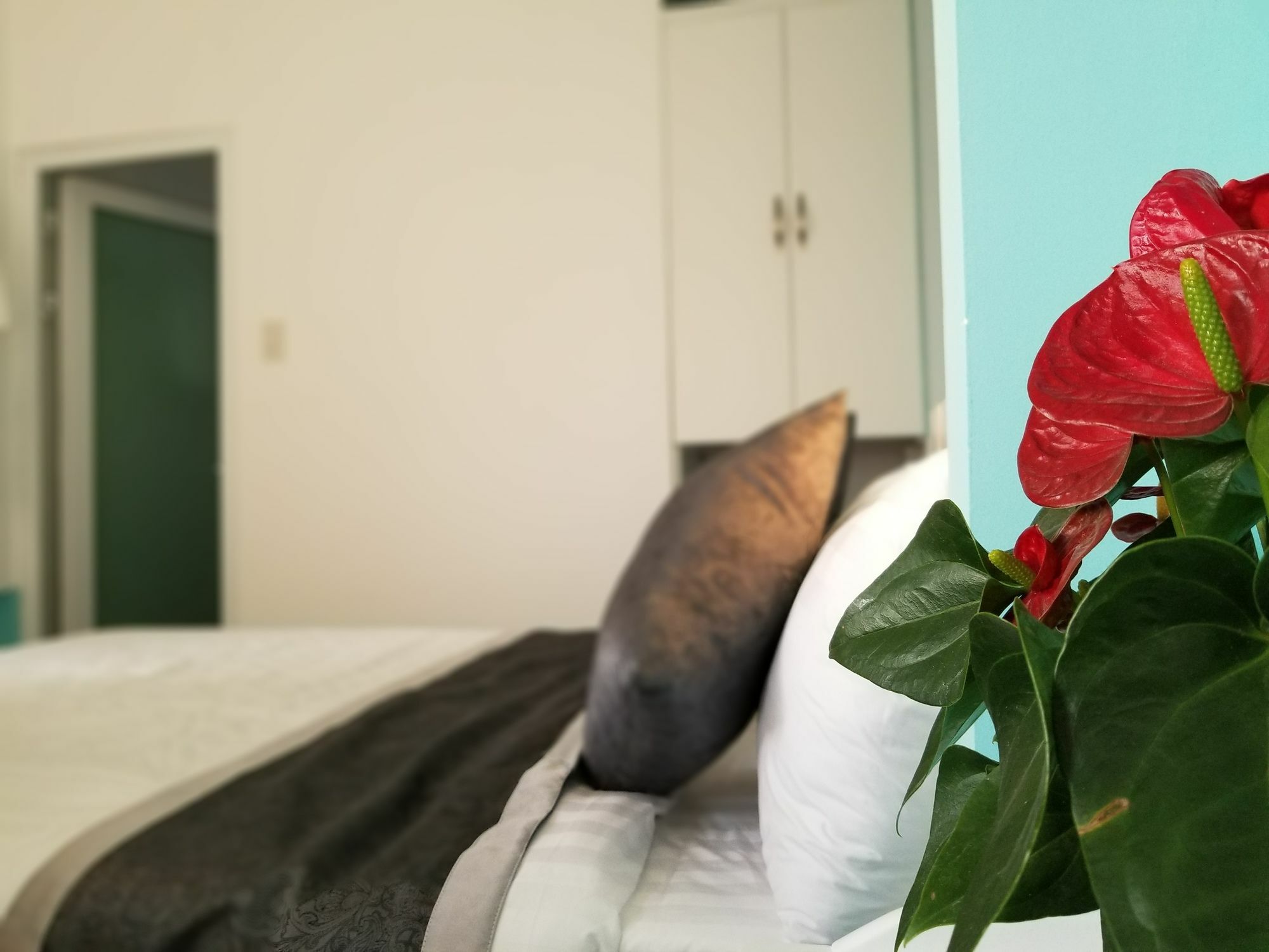 Ribe'S House Apartment Đà Lạt Ngoại thất bức ảnh