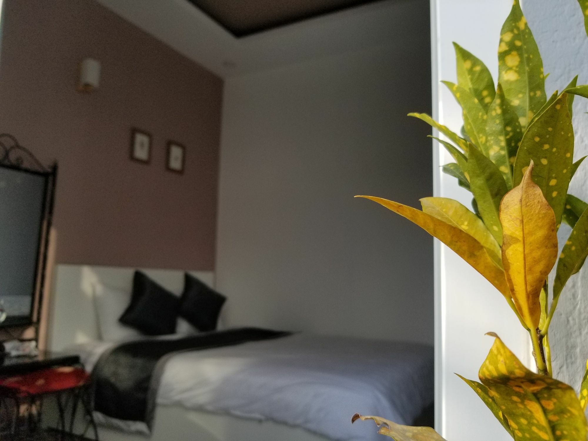 Ribe'S House Apartment Đà Lạt Ngoại thất bức ảnh