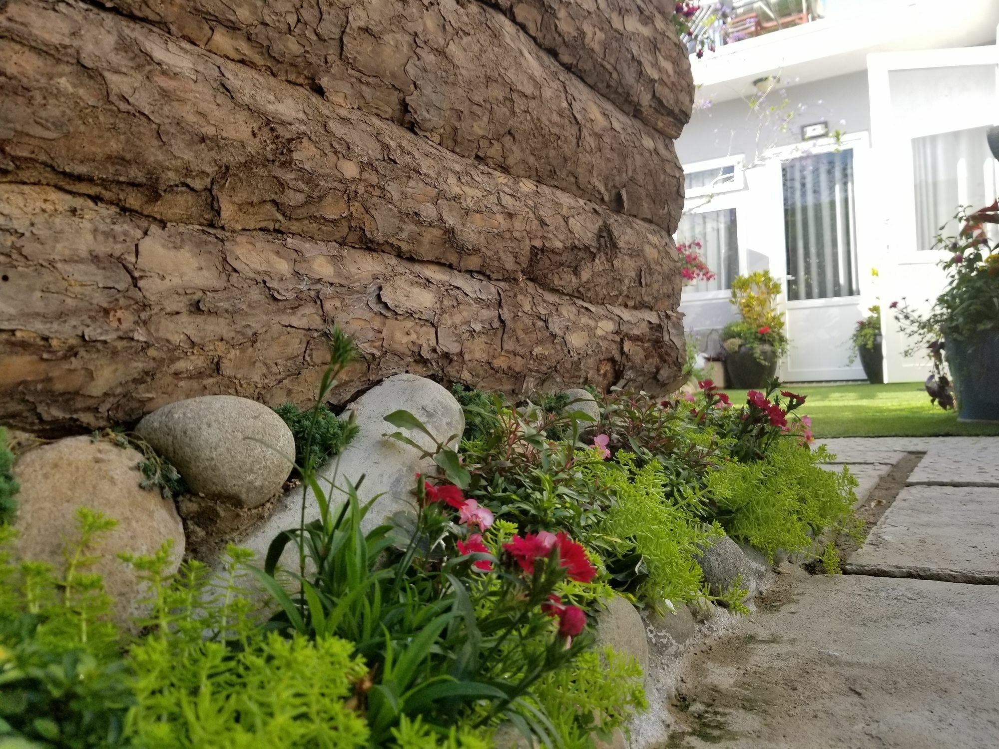 Ribe'S House Apartment Đà Lạt Ngoại thất bức ảnh